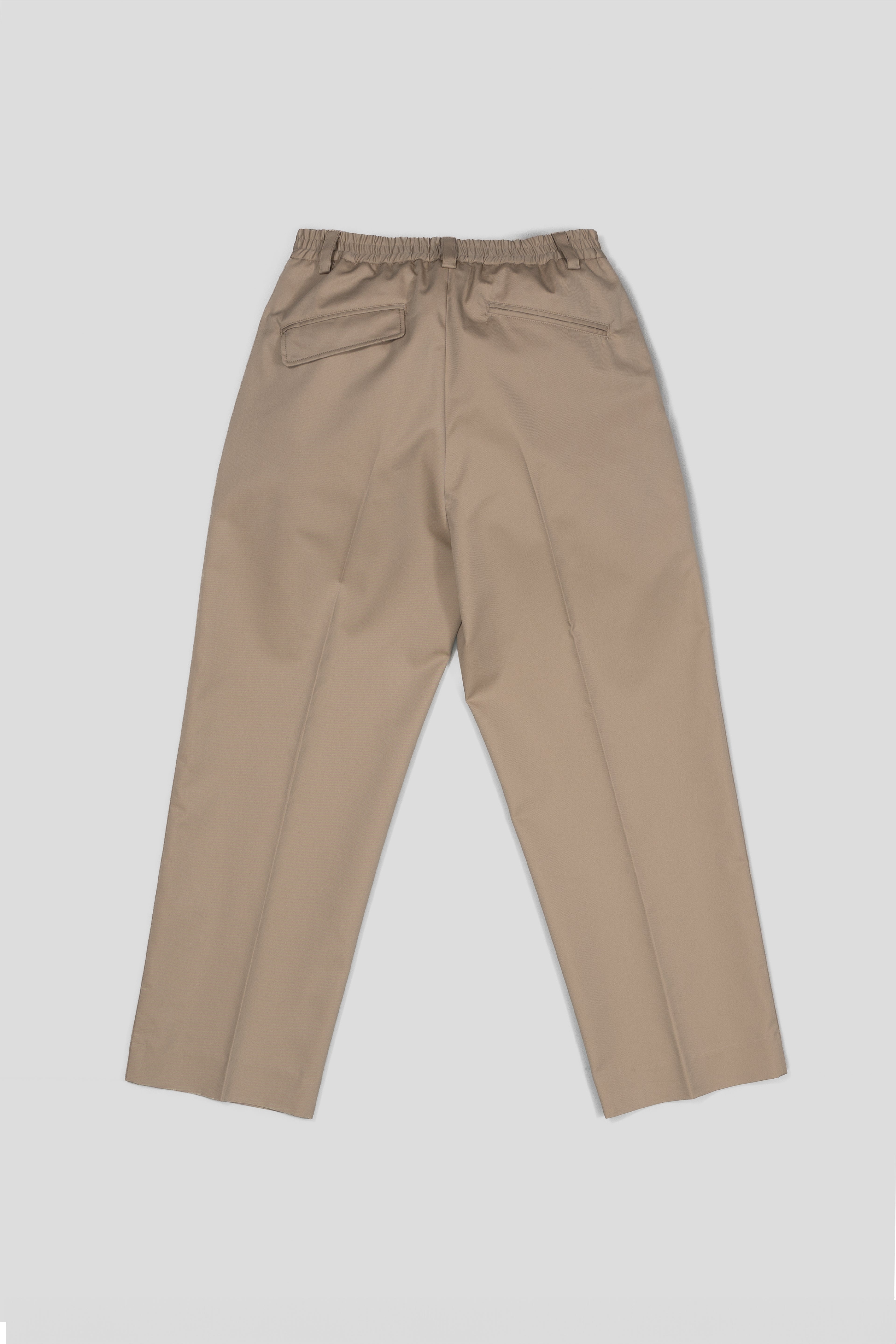 Fundamental Pleated Pants - Beige