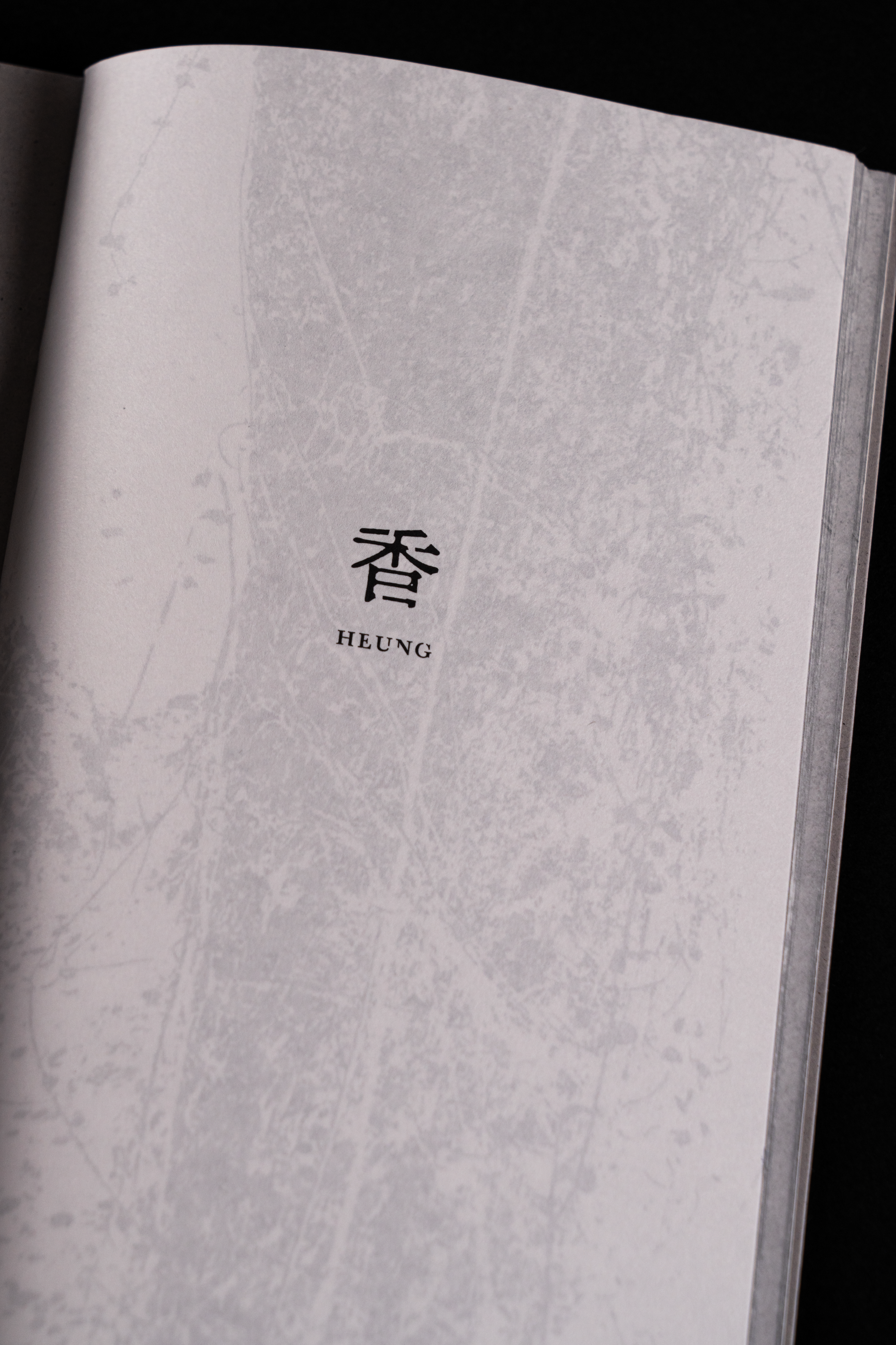 “THE KONGNER DOCUMENTARY NARRATIVITY: 香 HEUNG” BOOK